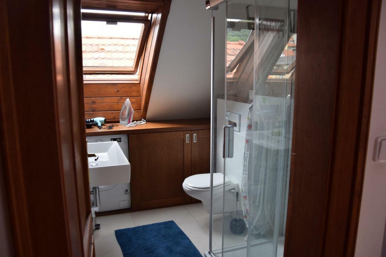 Apartman Mala Strana ปราก ภายนอก รูปภาพ